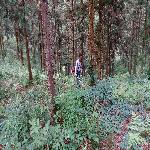 ������ҵ�ֳ�����վ�����ֻ��ؼ�鿼��